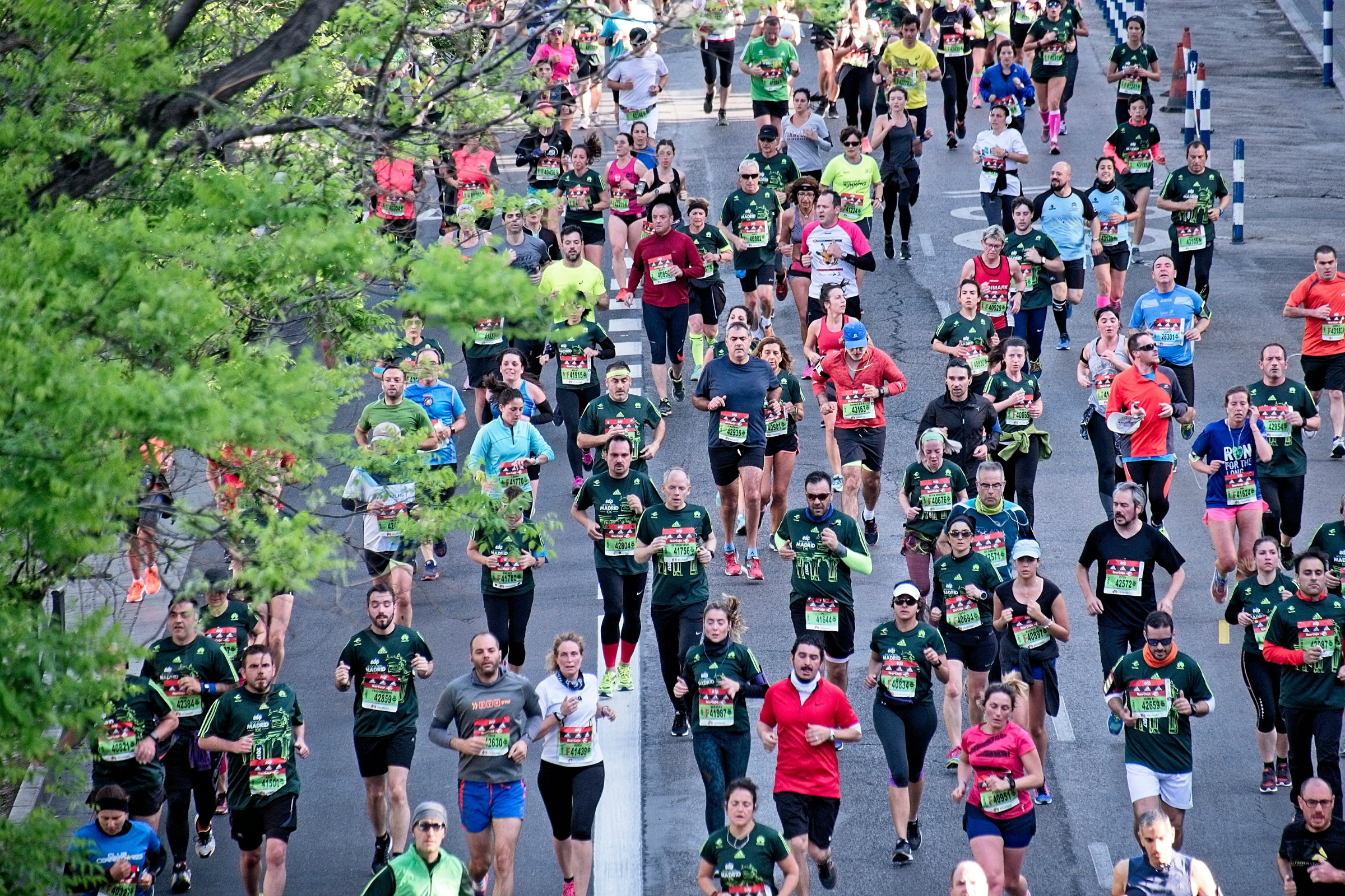 People running down a street as part of a marathon.